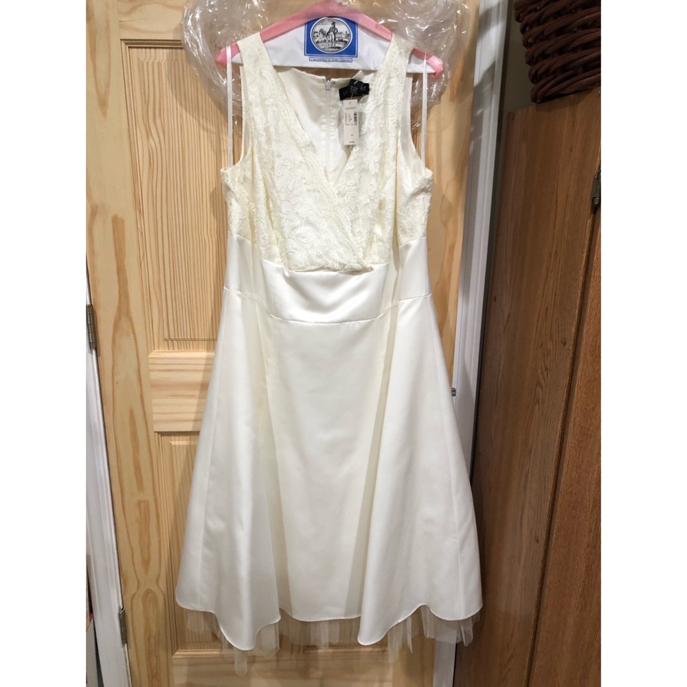 A line creme Lane Bryant wedding like dress